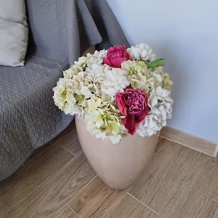 Le Funchal #clim#terrasse