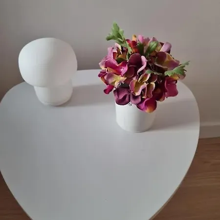 Daire Le Funchal #clim#terrasse Clermont-Ferrand